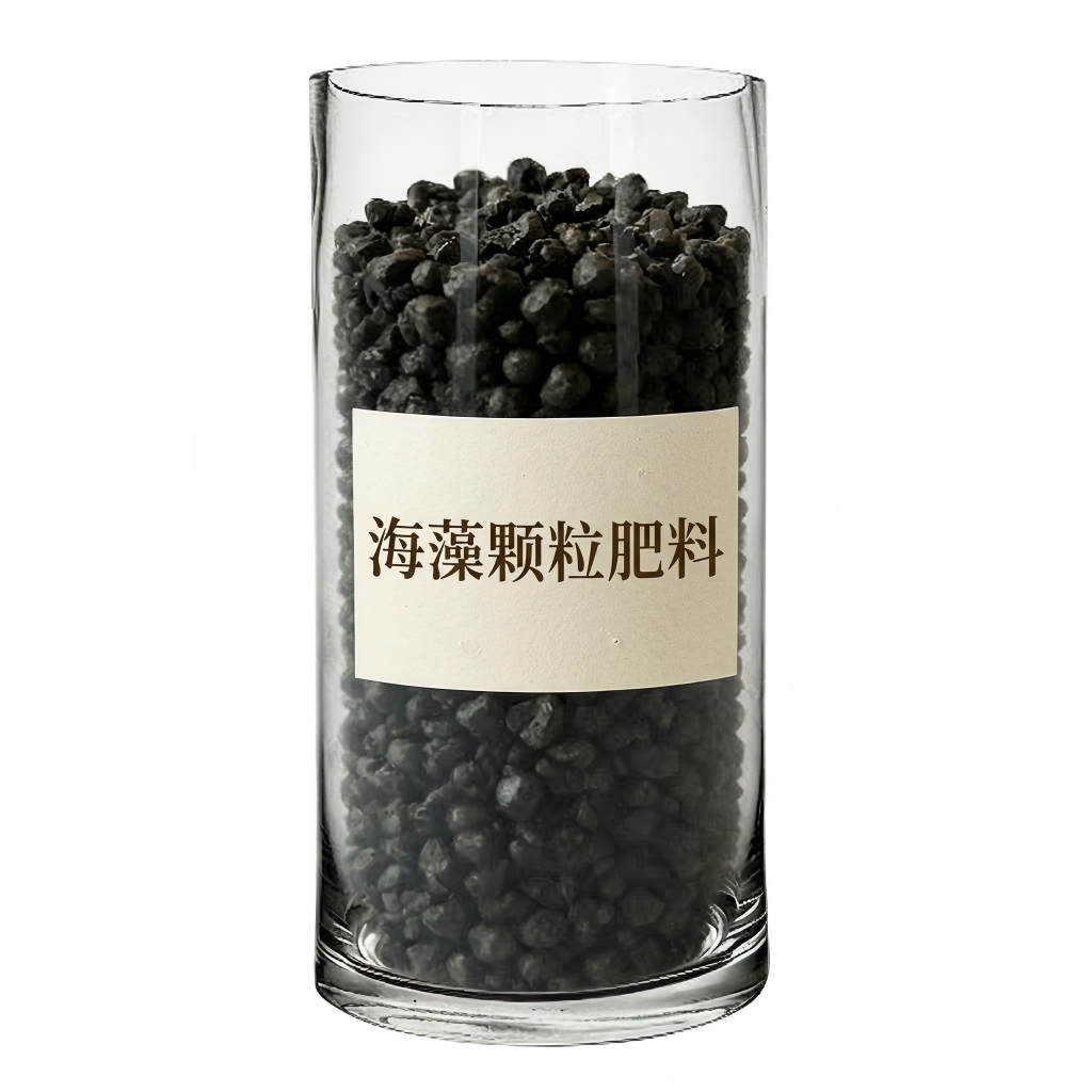 seaweed nutrition seaweed organic granular fertilizer